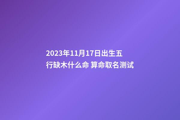 2023年11月17日出生五行缺木什么命 算命取名测试